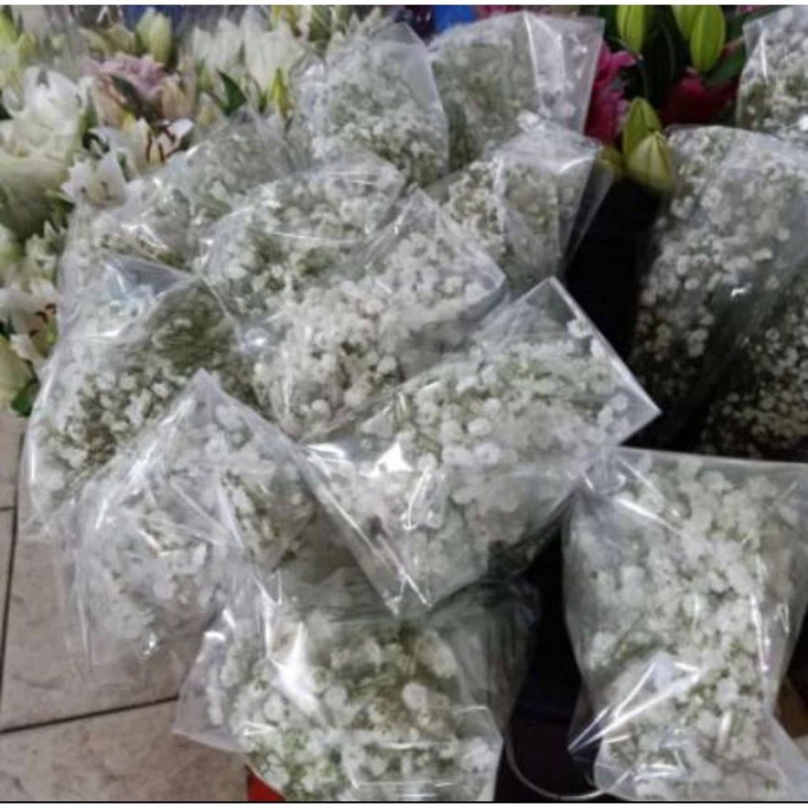 BABY BREATH BUNGA POTONG Fresh Ready Stock