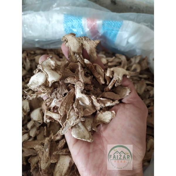 

Jahe Gajah Kering ( Simplisia ) 1Kg dari Jahe Pilihan Grade A