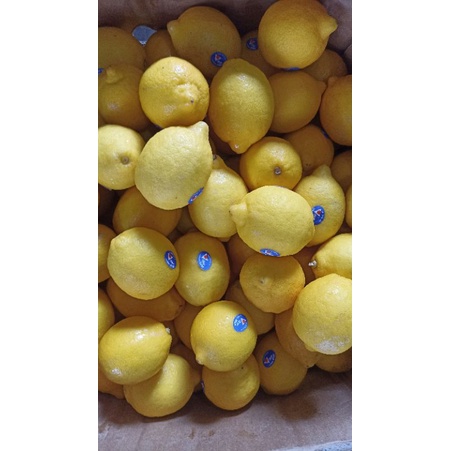 

Jeruk Lemon