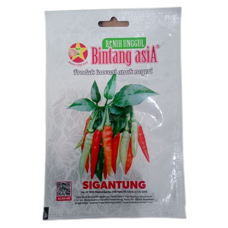 ID BENIH/BIBIT CABE SIGANTUNG BINTANG ASIA