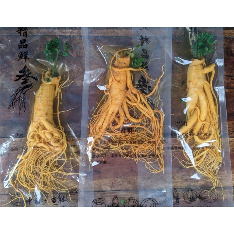 

Akar Ginseng Hemat isi 3 berat 250 Gram (COD)