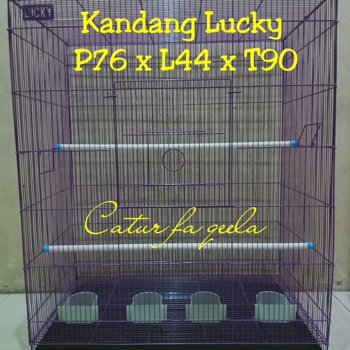 Kandang Burung Kandang Jumbo Burung