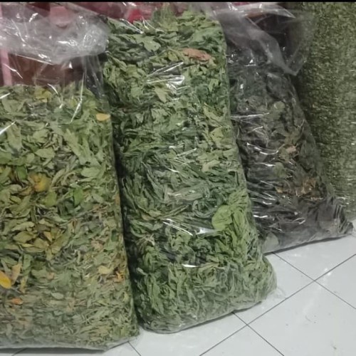 

TERBAIK JAMU DAUN BELIMBING WULUH KERING 500 GRAM