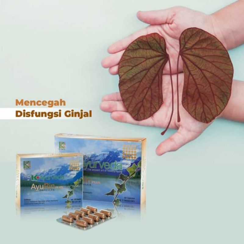Penghancur batu ginjal 60 Capsul /K-AyuRin Plus Original Produk K-Link