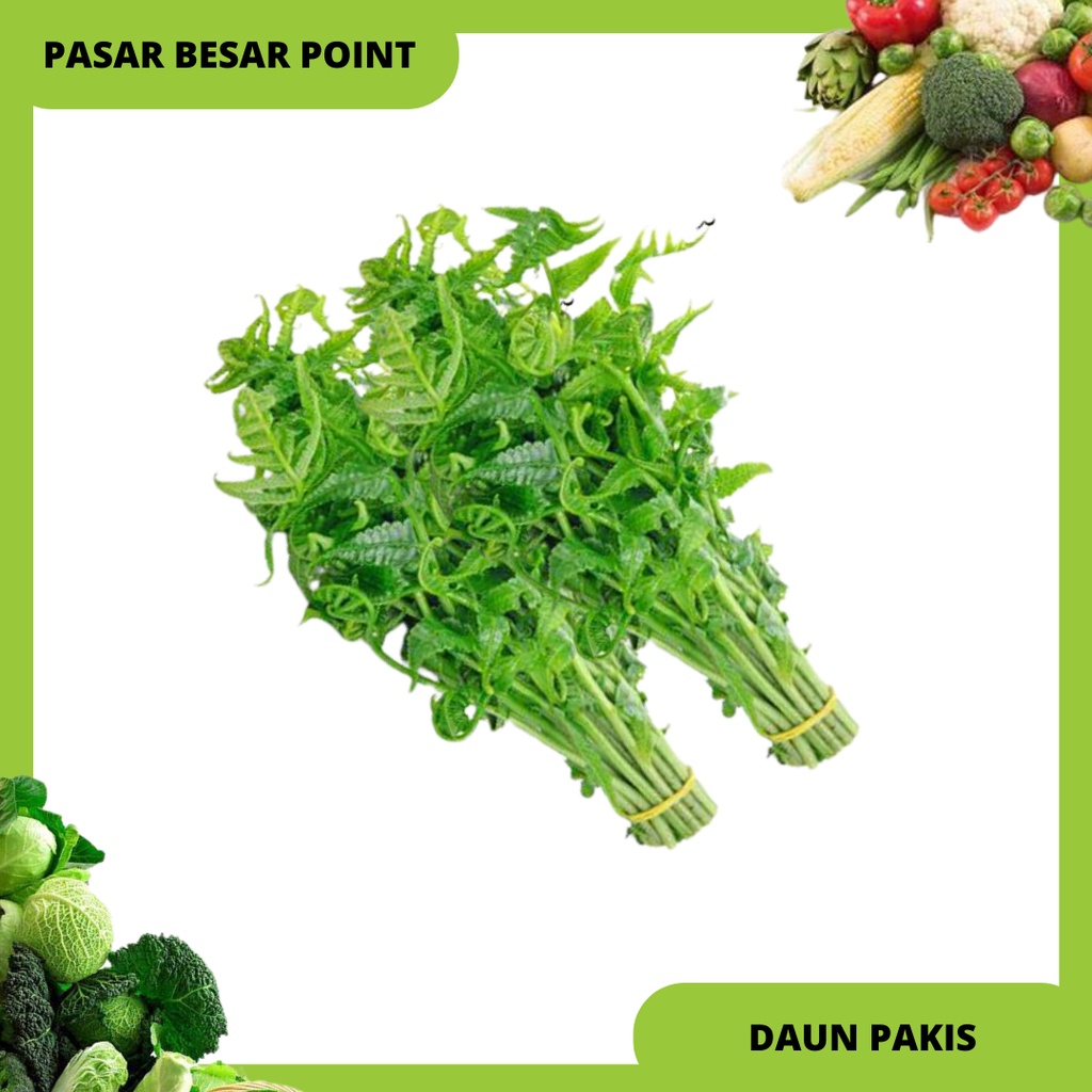 

sayur pakis