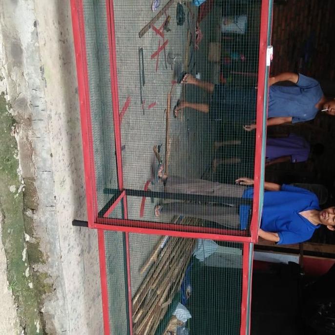 kandang umbaran murai 3 mtr sleding/tarik