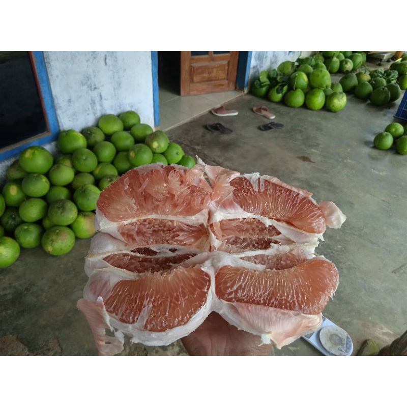 

jeruk pamelo madu berat(1,1kg-1,2kg)