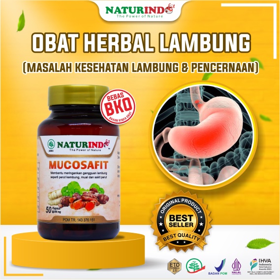 MUCOSAFIT Obat Asam Lambung Herbal Asam Lambung Maag Kronis Asam Lambung Gerd Herbal Asam Lambung Kr
