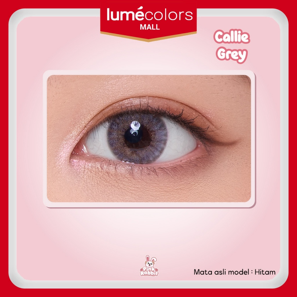 Pink Rabbit Softlens Minus Callie Soflens Grey