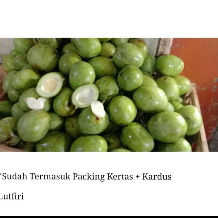 Jual Faa239 Mangga Telor Atau Telur Muda Mentah 1 Kg Belah Biji Asem