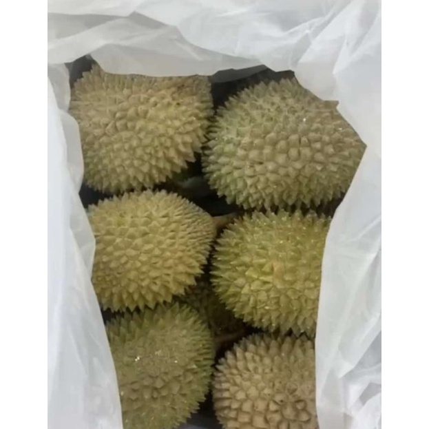 

Durian Musang King Nitro