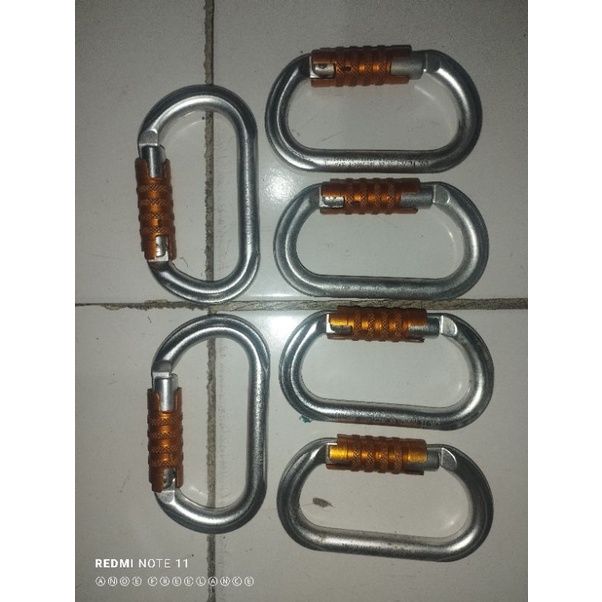 petzl carabiner treatlock