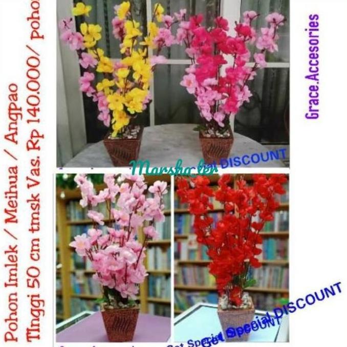 

POHON BUNGA IMLEK MEIHUA ANGPAO SINCIA RG64654T