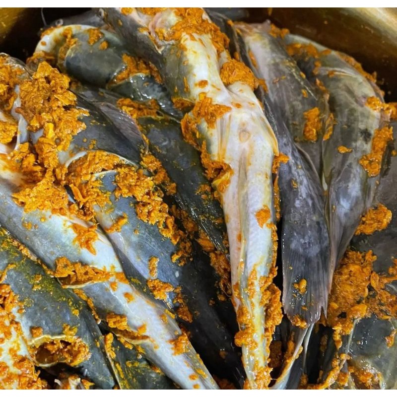 Grosir Ikan Bumbu Kuning Marinasi Siap Masak