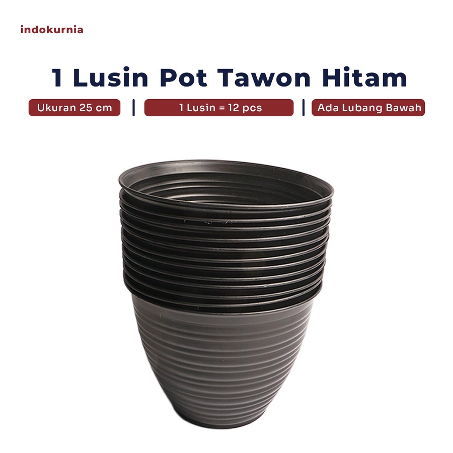 IK - 12PCS POT TAWON HITAM POT TANAMAN PIRUS TAWON MADU PUTIH 25 CM