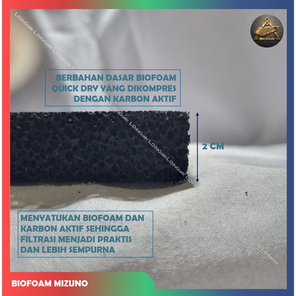 MIZUNO BIOFOAM KARBON AKTIF FILTER 30CM X 10CM MEDIA FILTER KOLAM AQUARIUM FILTER BIOFORM BUSA HITAM BIOFIL FILTER AQUARIUM MEDIA FILTRASI KOLAM KAPAS AQUARIUM POMPA AQUARIUM LAMPU AQUARIUM AERATOR AQUARIUM IKAN HIAS CHANNA CUPANG