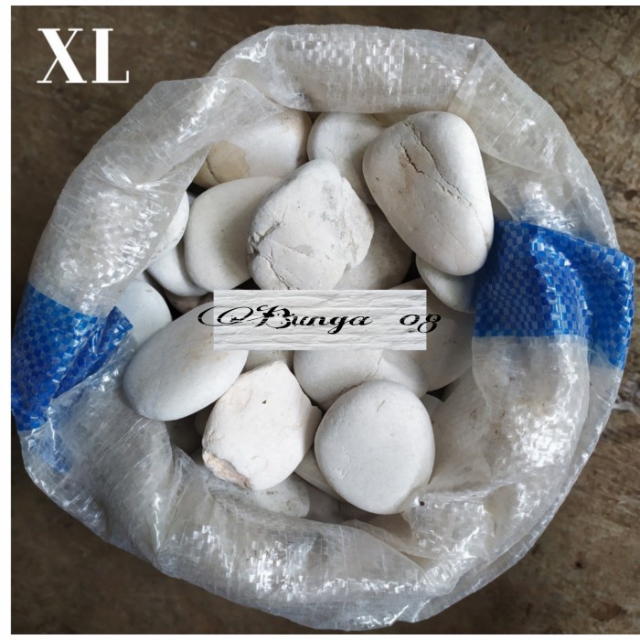 [QPODS] Batu Koral Putih 1Kg S-Xxl / Batu Hiasan Taman/Tanaman / Batu Aquarium