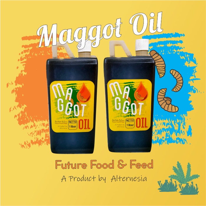 Minyak Maggot Oil Arwana, Channa, Koi, Murai, Louhan, Reptil, Ternak
