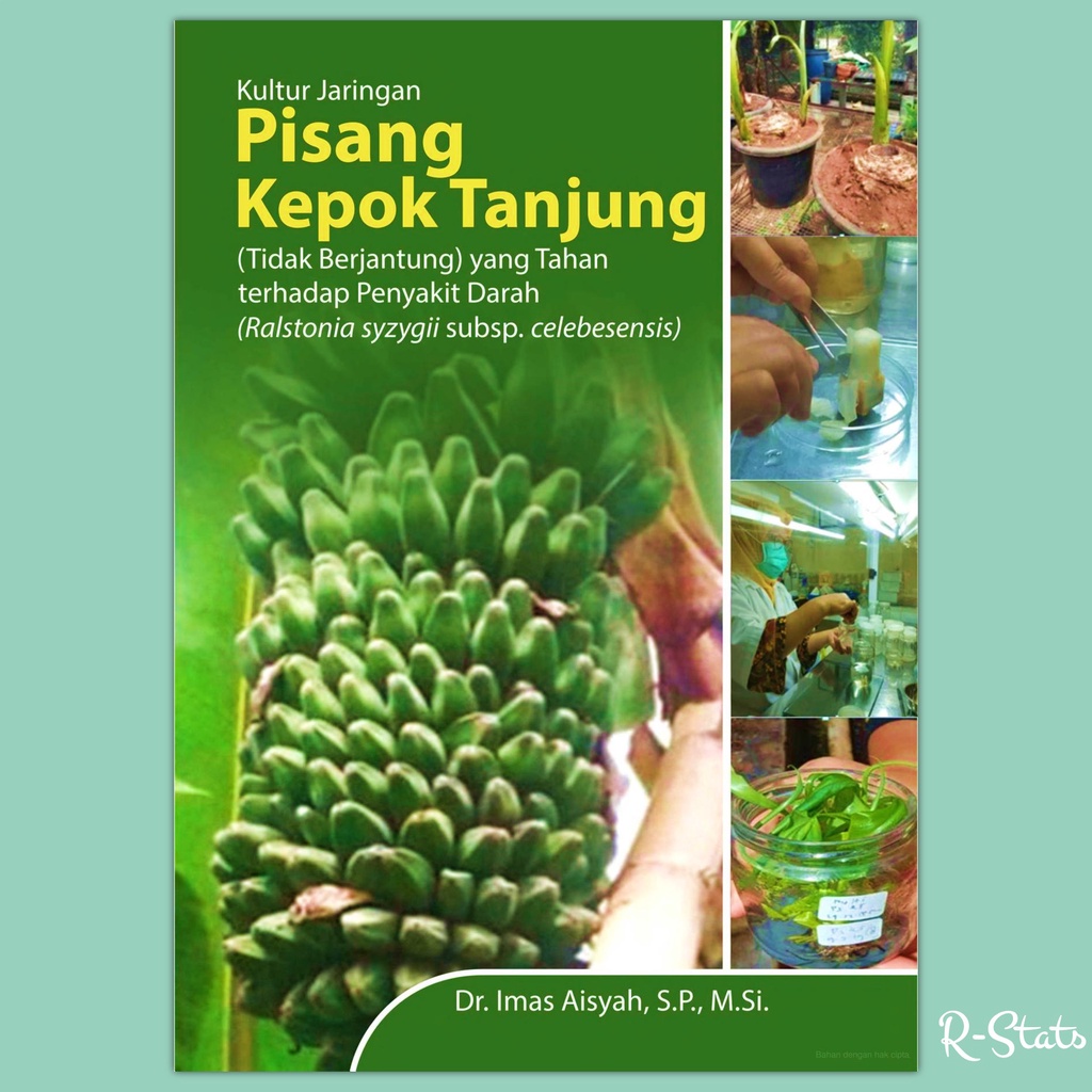 Buku Kultur Jaringan Pisang Kepok Tanjung (Tidak Berjantung) yang Tahan Terhadap Penyakit Darah (Ral