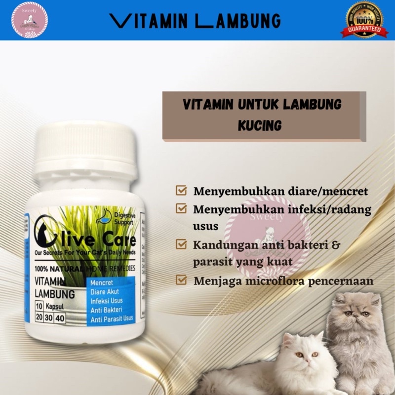 Vitamin Kucing Olive Care [ECER, 1 Kapsul] | Olivecare SweetyPetshop