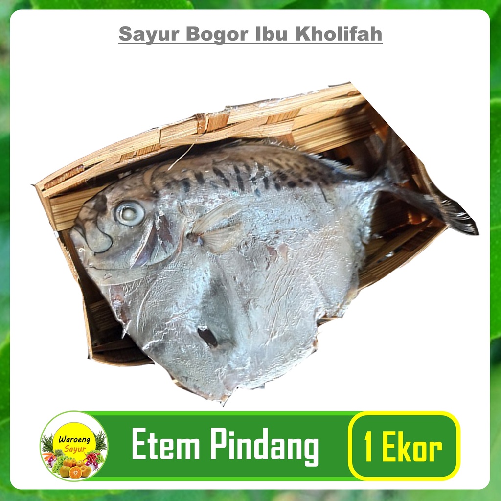 

Ikan Etem 1 Ekor Lauk Pauk Ikan Segar Bogor