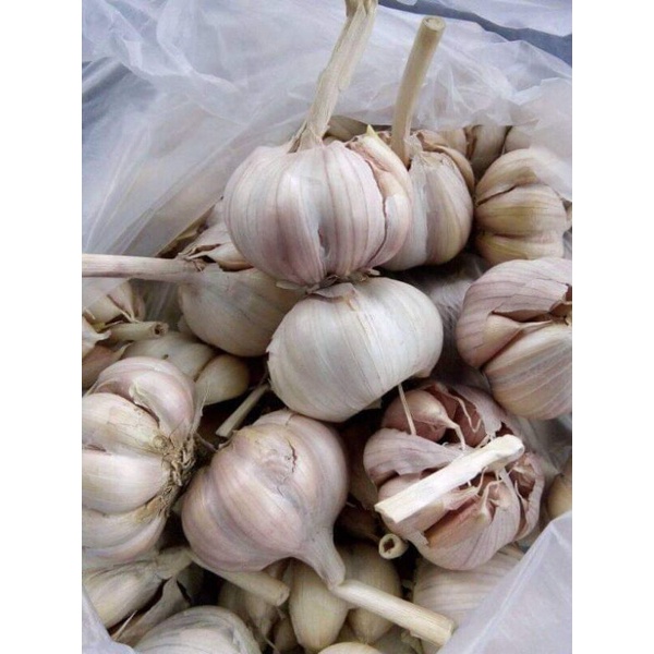 

Bawang Putih Segar 1kg
