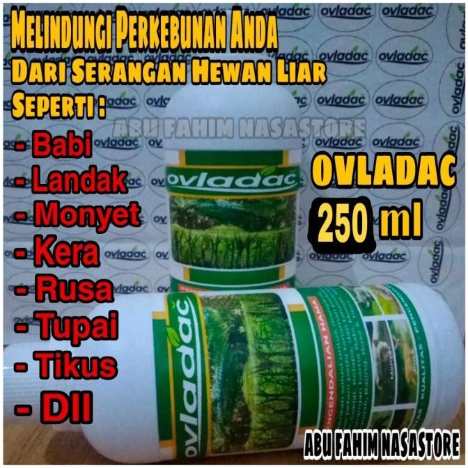 OVLADAC 250 ML / RACUN HAMA / RACUN BABI, LANDAK, RUSA, MONYET, TUPAI