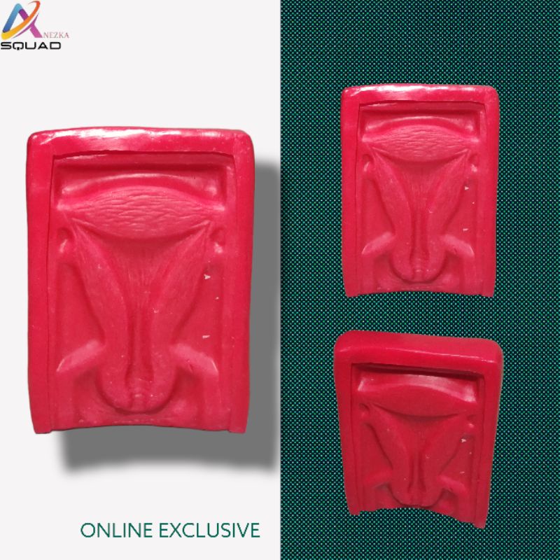 PHANTOM MANIKIN IUD KOTAK MERAH / ALAT PERAGA IUD KOTAK MERAH