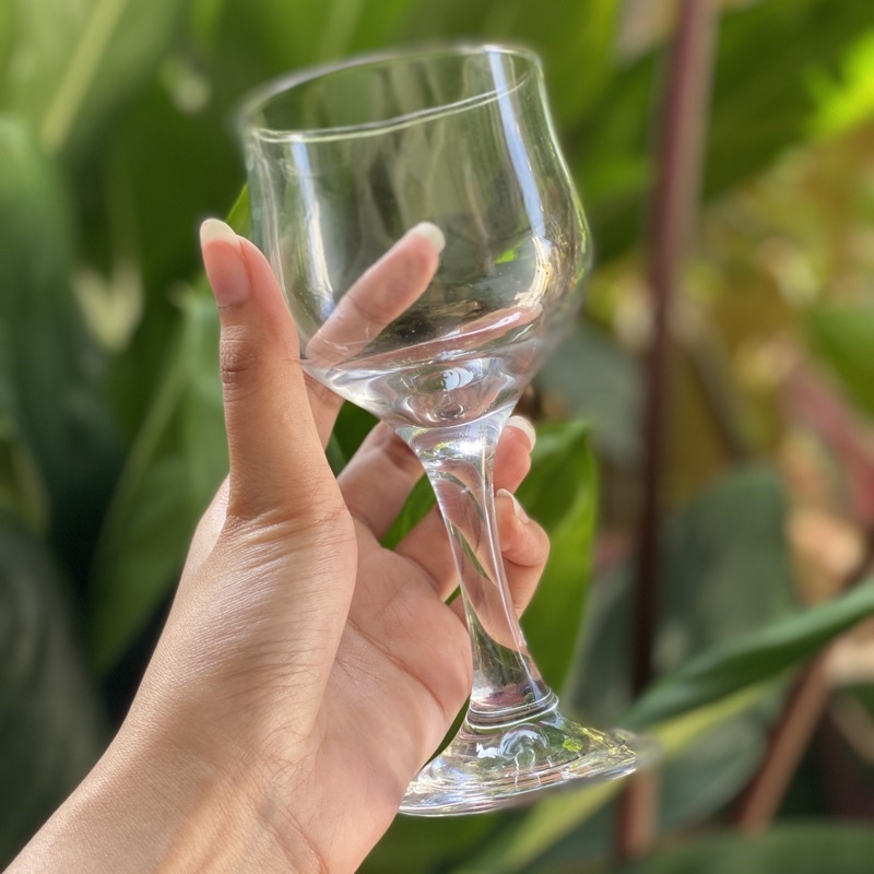 gelas kaca wine set 6 pcs gelas tulip gelas champange gelas kaki gelas kaca 230ml gelas 8.10 oz glassware