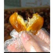 

KURMA SUKARI PREMIUM GRADE A