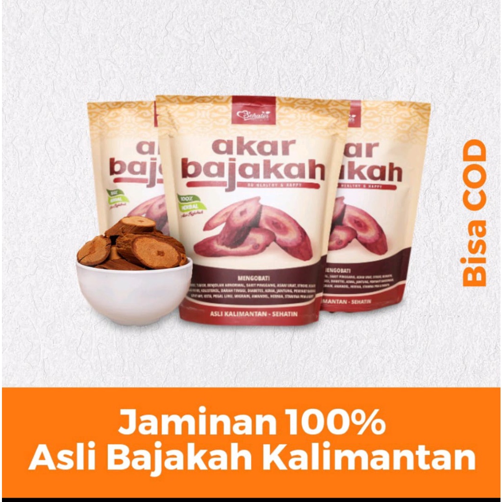 

AKAR KAYU BAJAKAH SIAP SEDUH ASLI KALIMANTAN