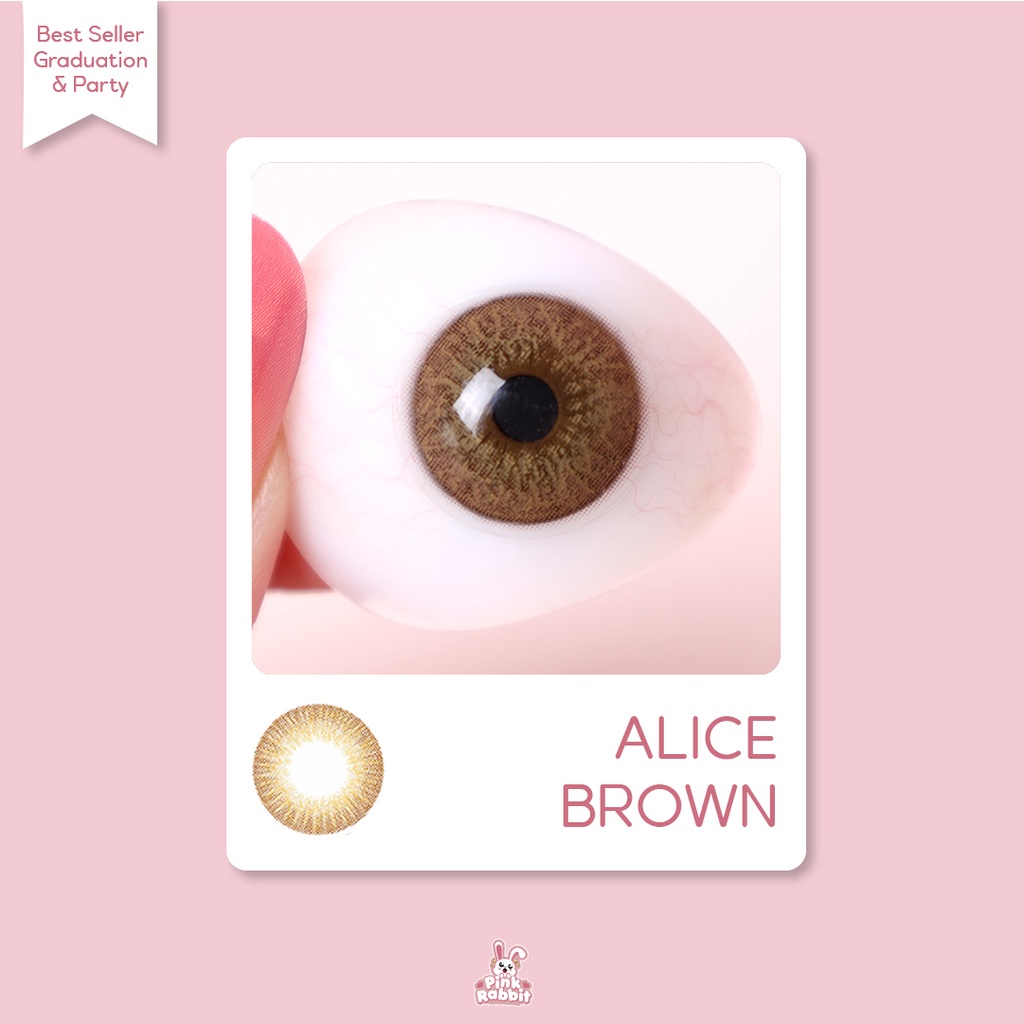 Pink Rabbit Softlens Minus Alice Brown Soflens Coklat