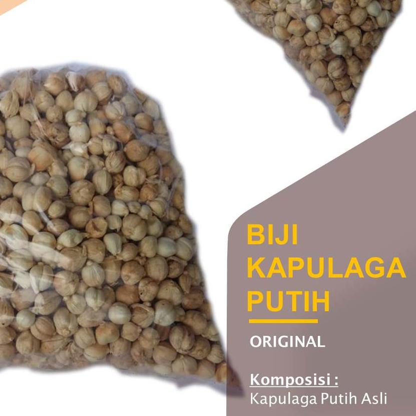 

▲ Biji Kapulaga Putih 250 g, 500, 1 kg / Kapol ⅎ
