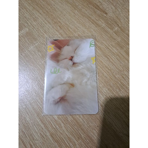 photocard seulgi red velvet art book lala sleep pc kucing seulgi lala art book by seulgi official