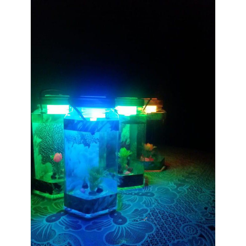 Aquarium MINI TABUNG IKAN CUPANG HIAS MURAH /DEKORASI RUMAH