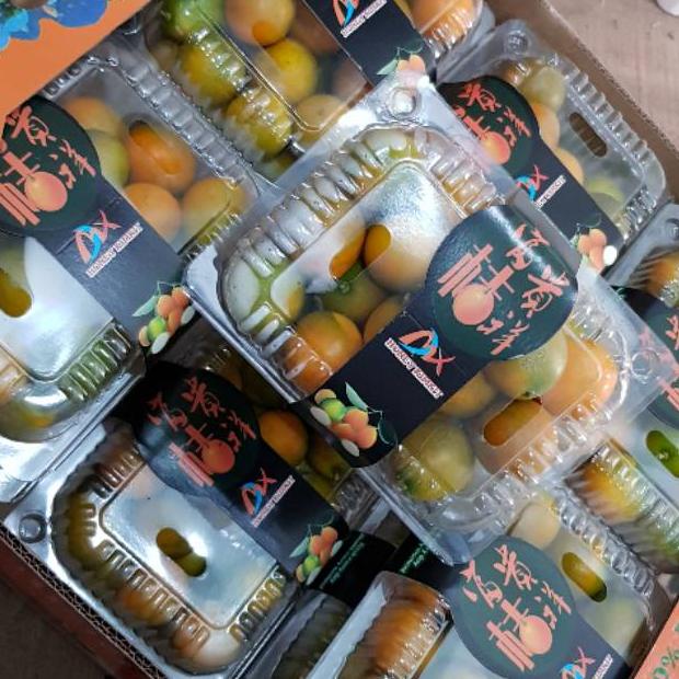 

[PRODUK-ZI6N077] Jeruk kimkit madu 400 gram vbeem