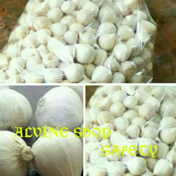 

MALL Bawang Putih Tunggal / Bawang Lanang 500gram serbuuu !