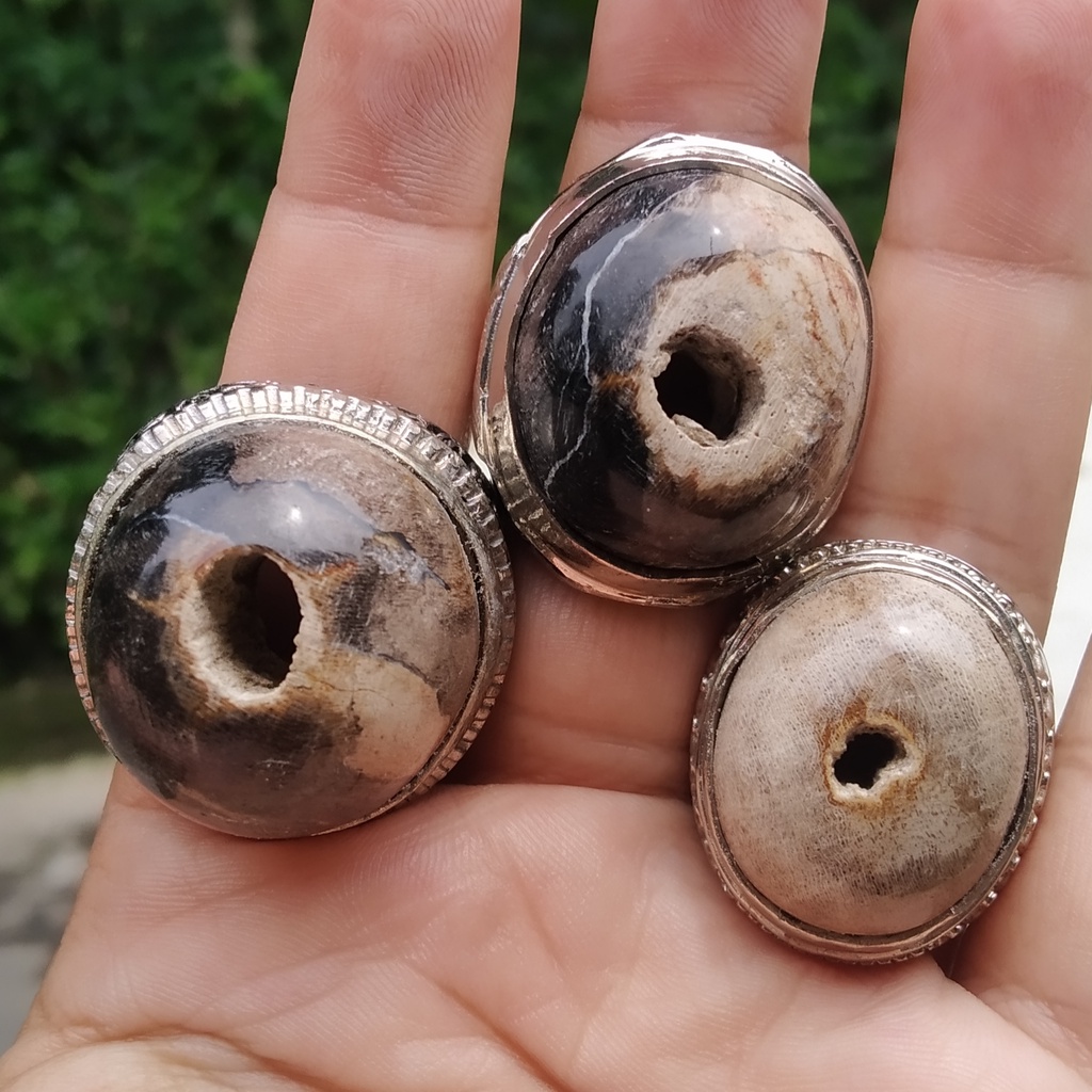 Cincin Batu Akik Galih Kelor Motif  Combong