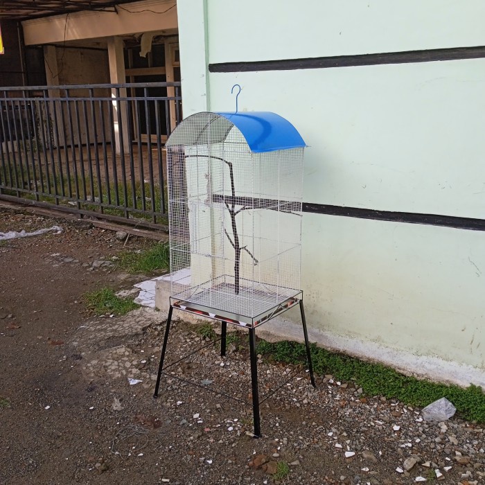 Kandang Burung Kandang Koloni Lovebird.