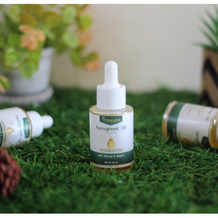 Pembesar Payudara Original Vanezia Fenugreek Oil