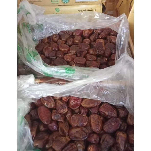 

Kurma golden
