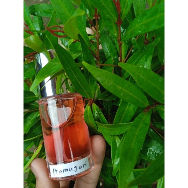 parfum pramugari garuda