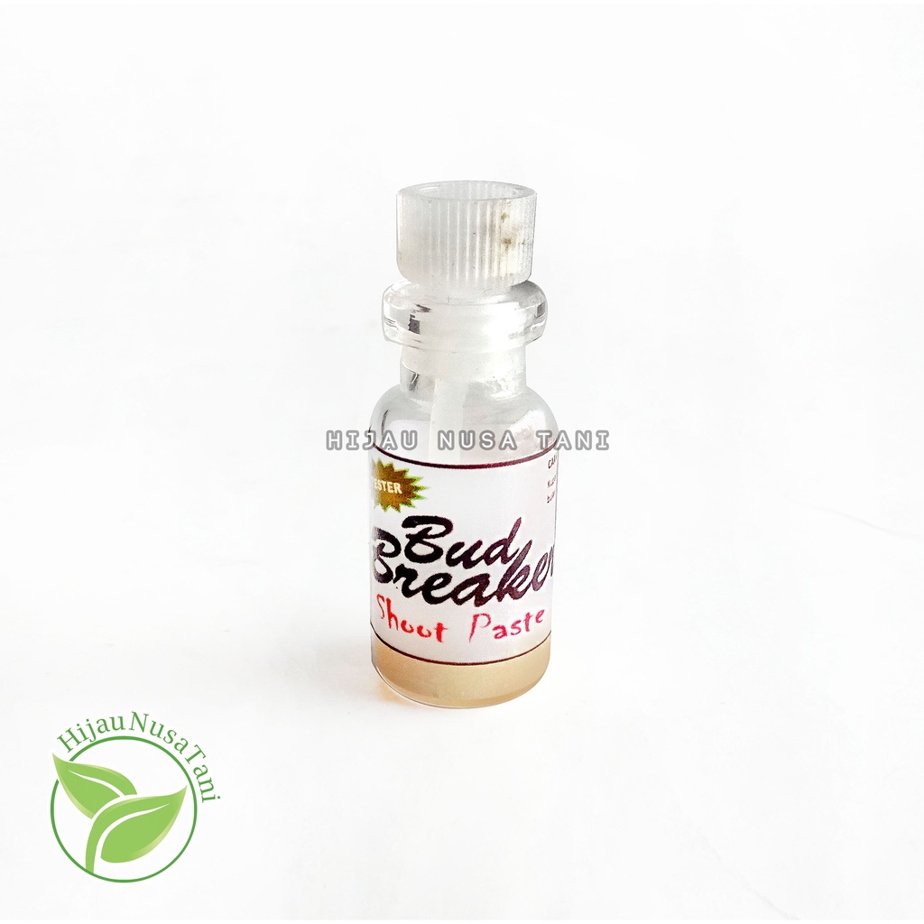 BUD BREAKER 1 gram - Pemecah Tunas Bunga Anggrek Hormon Salep Pasta Bud / keiki Bunga Anggrek