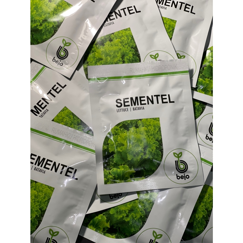 Benih Bejo Seed - Selada Batavia Sementel; kemasan 1000 seed