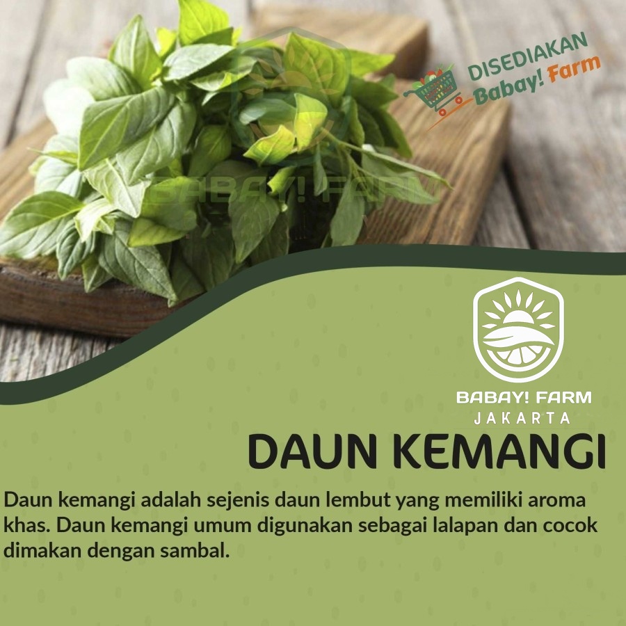 

daun kemangi 1 ikat 50 gr