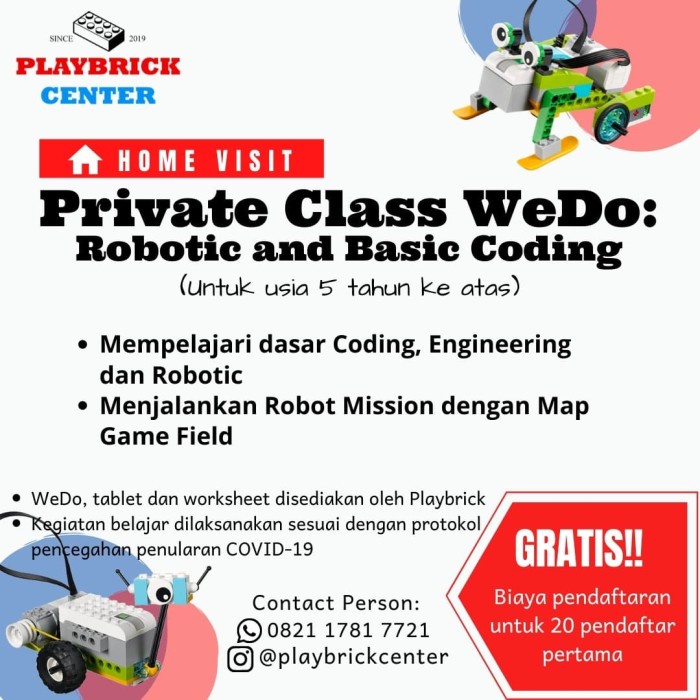 {SimpatiStore} Program Kelas/Les LEGO Robotik ke Rumah 4 kali Pertemuan 15 Jam Murah