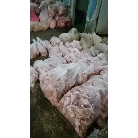 

Ayam potong/ayam buang bulu/ayam buletan/ayam karkas