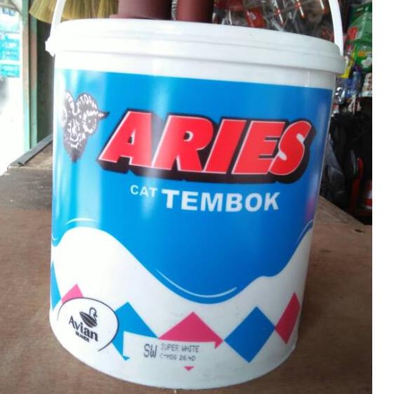 Special Cat Aries cat tembok 5 kg - warna ready