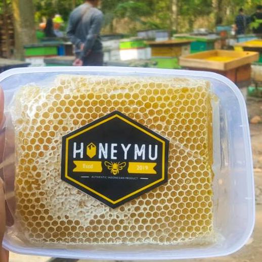 

Terbaru | TD4 | [500gr] COD Sarang Madu Melifera