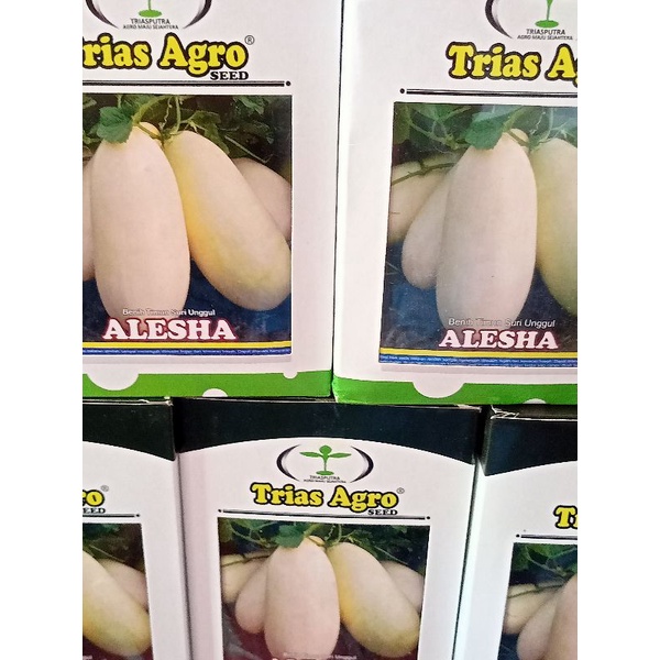 BENIH BONANZA 20 PCS